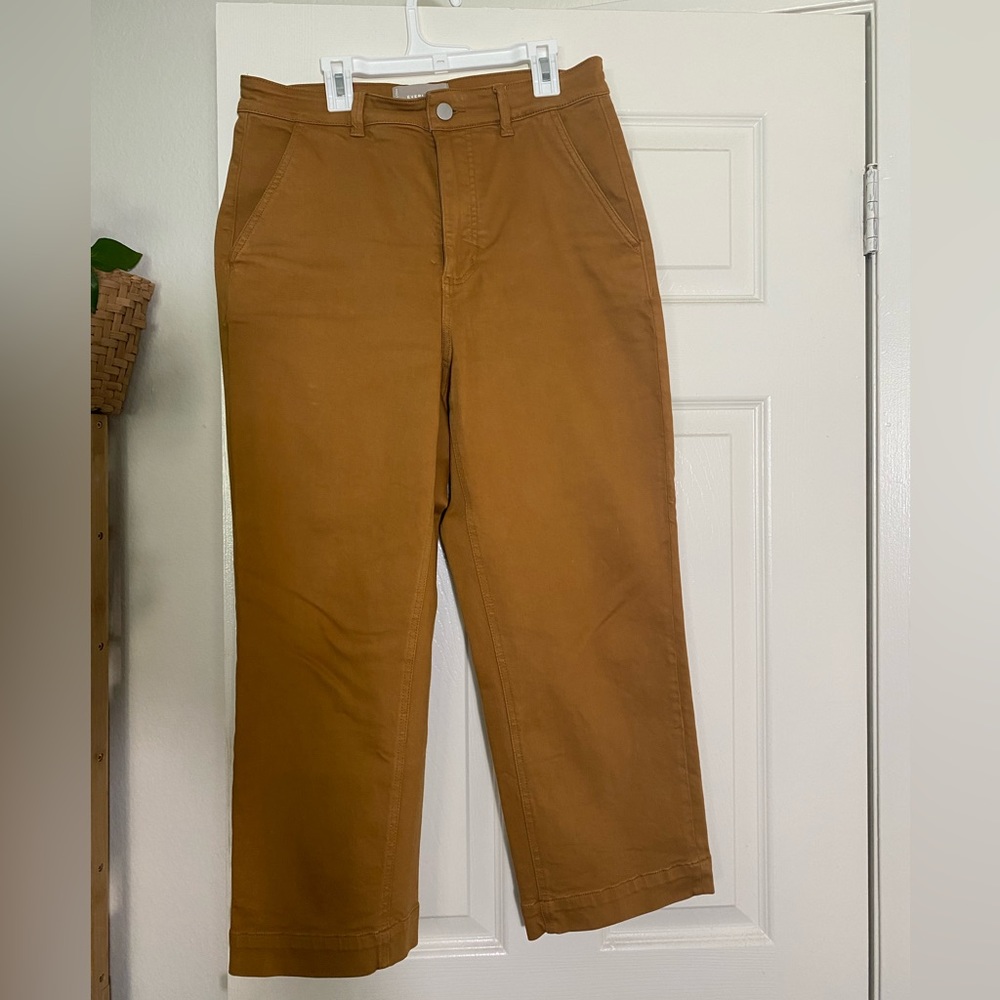Everlane straight leg crop chino